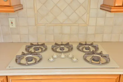 DSC_7350 (Large).JPG